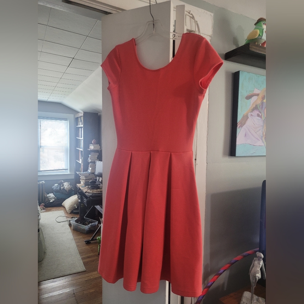 Adorable French connection pleated dress size 4